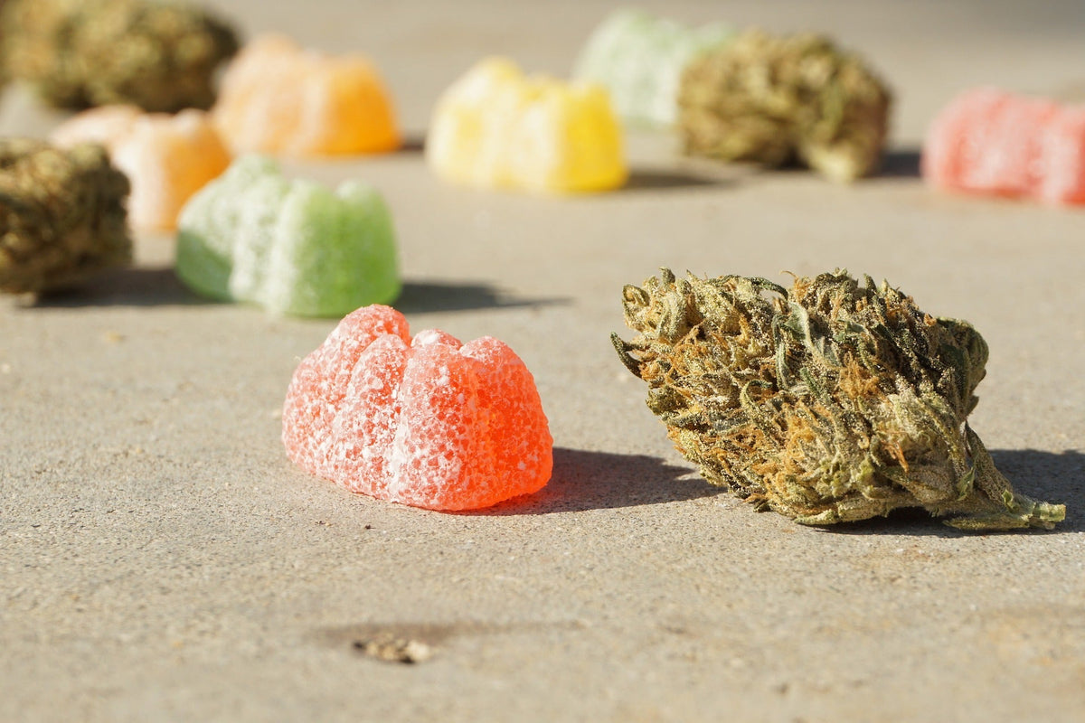 Gummies et fleurs de CBD