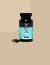 Support CBD Capsule