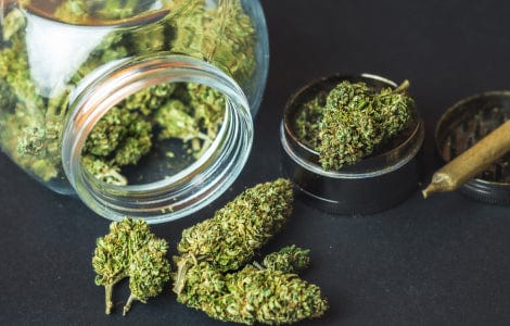 Fleurs CBD