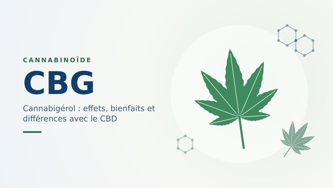 CBG (cannabigérol) : effets, bienfaits et différences avec le CBD
