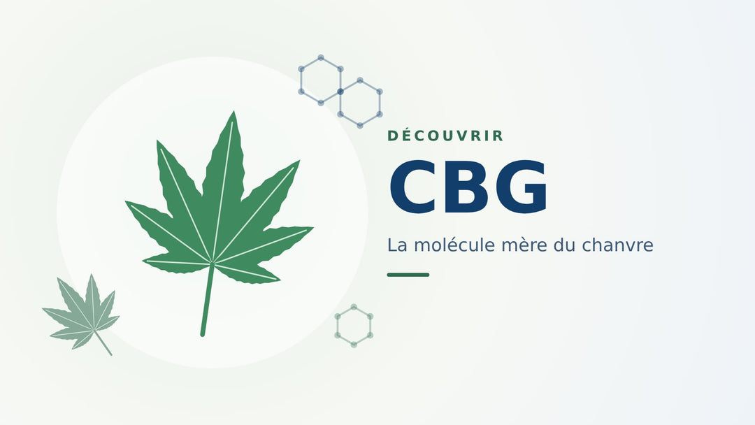 Découvrir le CBG, la molécule mère du chanvre