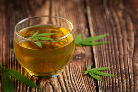 Infusion au CBD