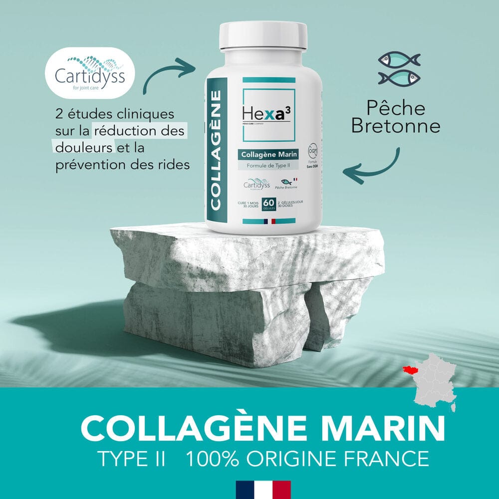 Hexa3 Gélules 60 Gélules Collagène Marin Français Type II CARTIDYSS