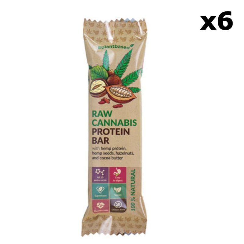 Raw Cannabis Protein Bar x6