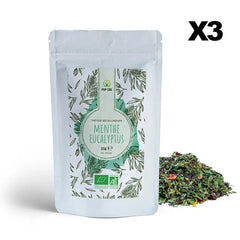 Organic Black Tea Mint Eucalyptus, with CBD Hemp