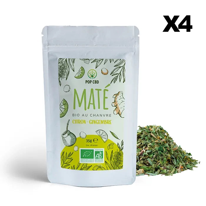 Organic Lemon Ginger Mate Green, with CBD Hemp