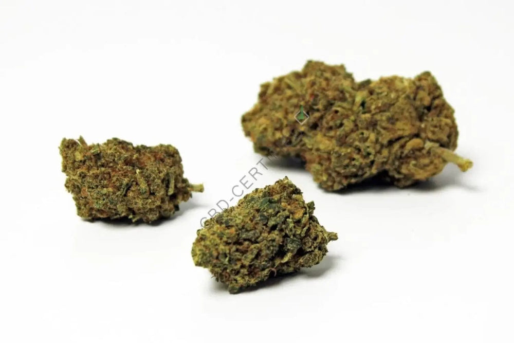 Mind CBD Fleurs CBD AK-47 (Indoor bio) - CBD 9,8%