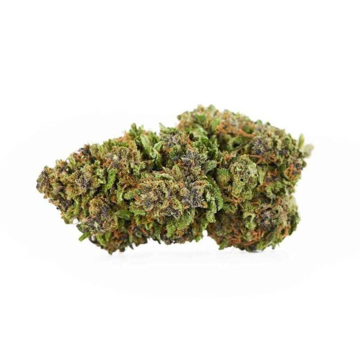 Amnesia Indoor CBD Flower bud