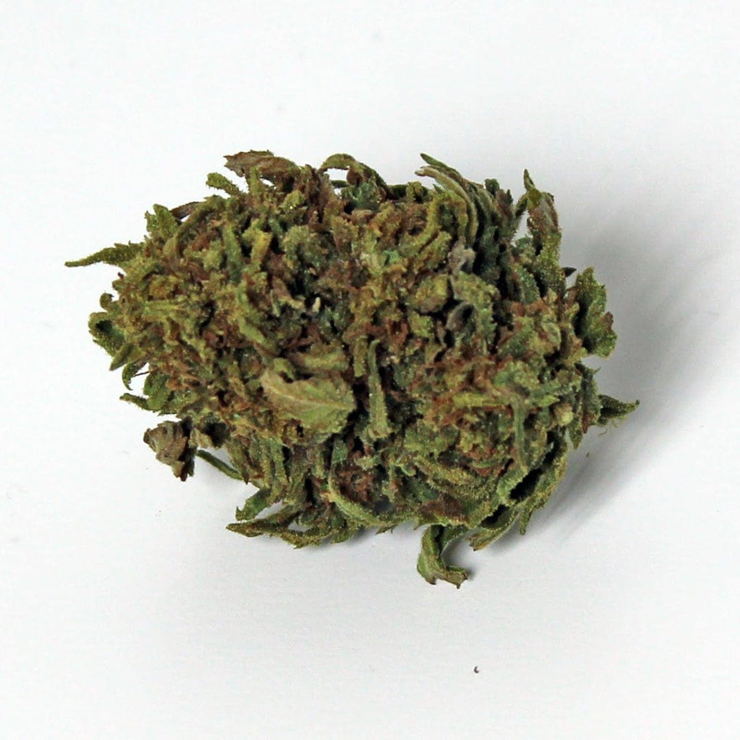 Fleur CBD Gelato super citroen- en vanillesmaak