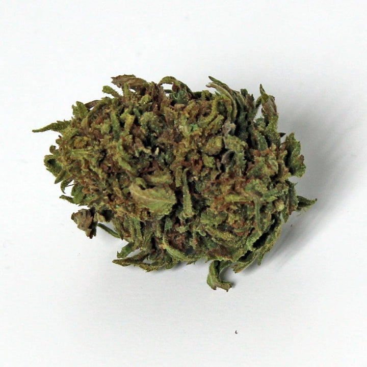 Fleur CBD Gelato super lemon and vanilla flavor