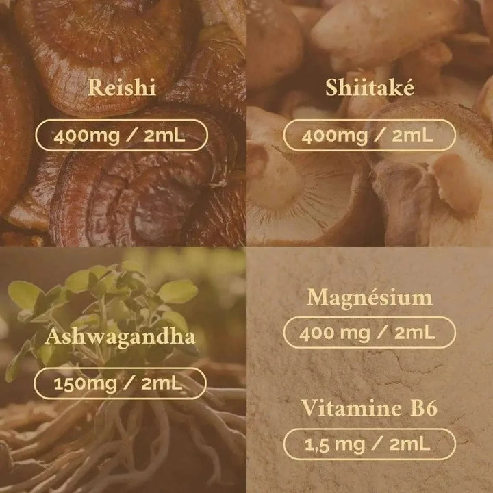 Terraphy Huiles Huile Reishi "Anti-Stress"