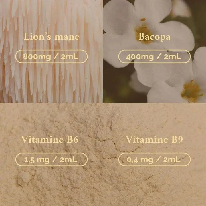 Terraphy Huiles Huile "Concentration" Lion’s Mane