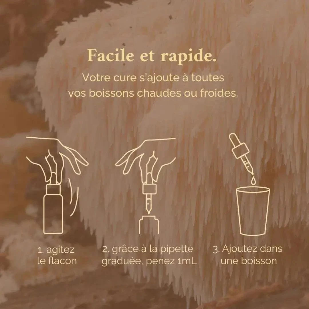 Terraphy Huiles Huile "Concentration" Lion’s Mane