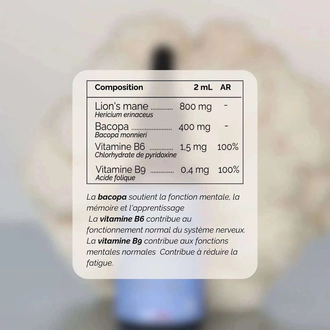 Terraphy Huiles Huile "Concentration" Lion’s Mane