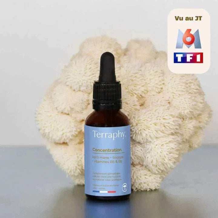 Terraphy Huiles Huile "Concentration" Lion’s Mane