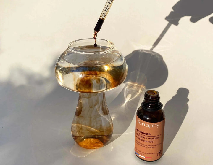 Terraphy Huiles Huile "Immunité" Shiitake + Maitaké