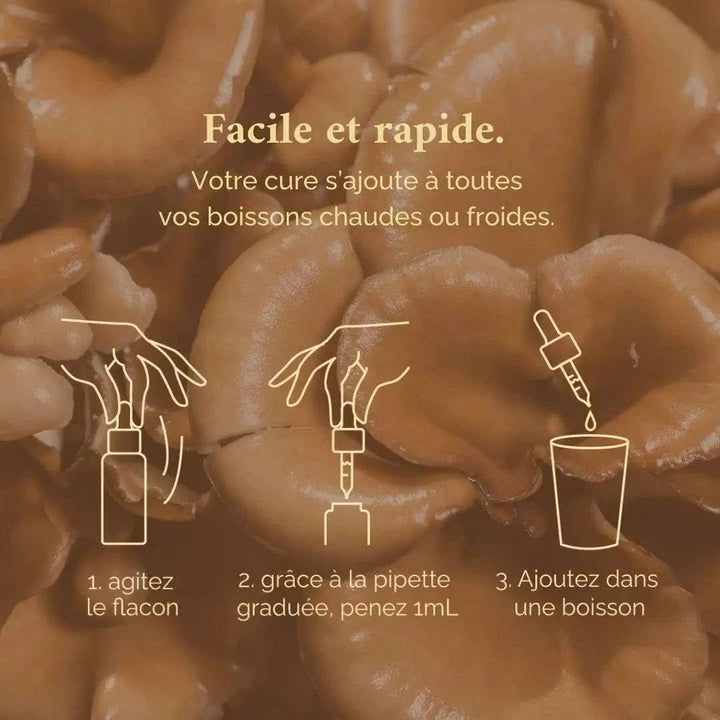 Terraphy Huiles Huile "Immunité" Shiitake + Maitaké