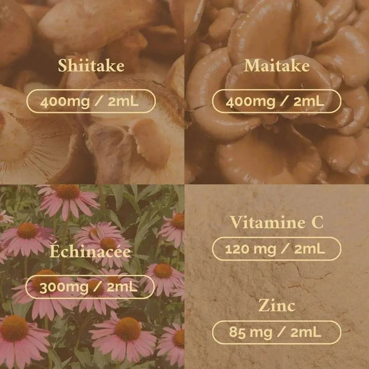 Terraphy Huiles Huile "Immunité" Shiitake + Maitaké