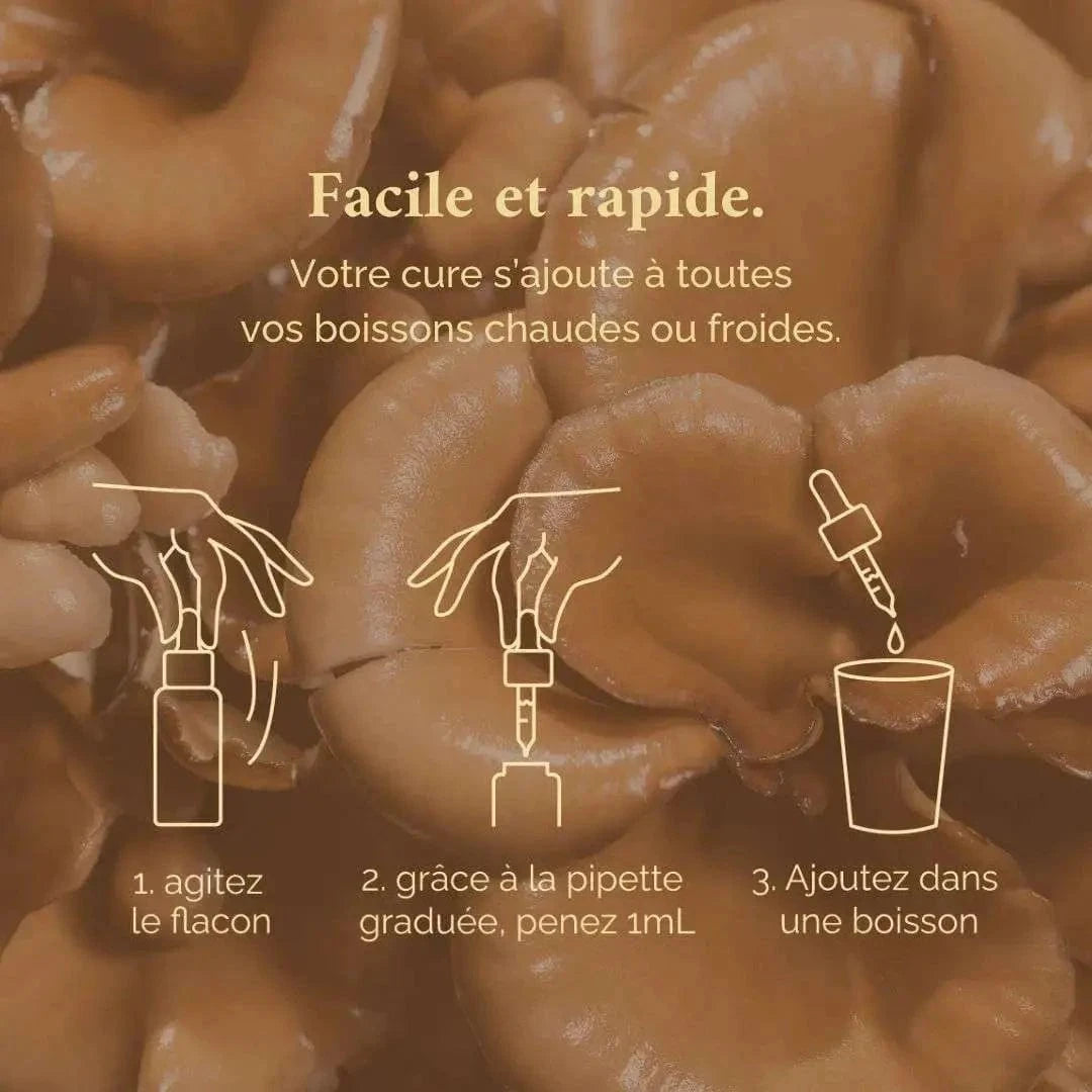 Terraphy Huiles Huile "Immunité" Shiitake + Maitaké