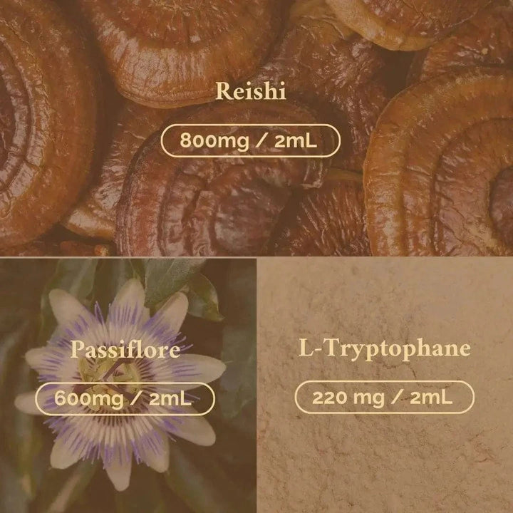 Terraphy Huiles Huile Reishi + Passiflore "Sommeil"