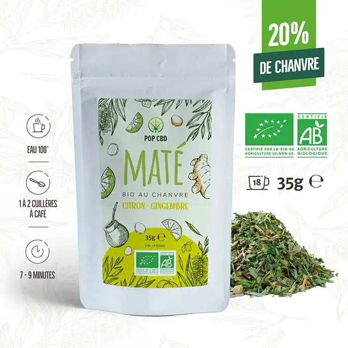 POP CBD Infusions CBD Maté Vert Bio Citron Gingembre, au Chanvre CBD