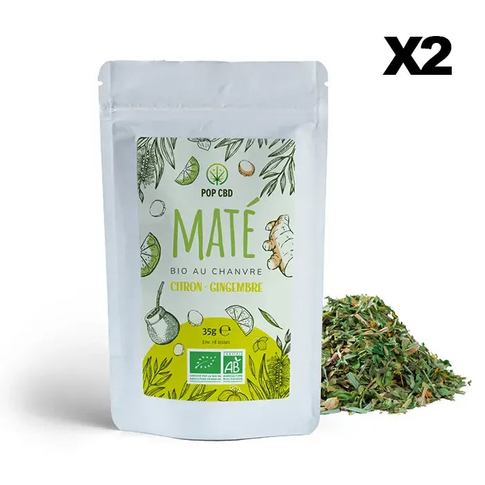 POP CBD Infusions CBD 2 sachets Maté Vert Bio Citron Gingembre, au Chanvre CBD