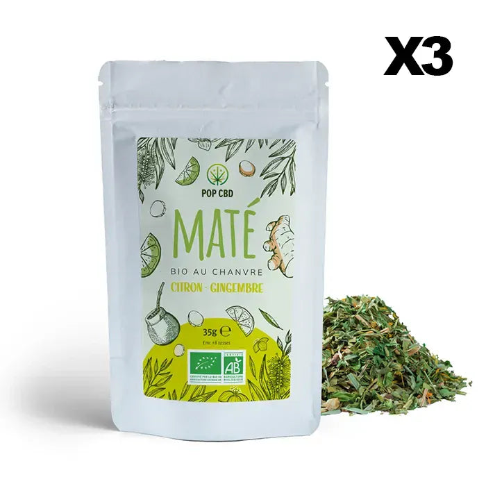 POP CBD Infusions CBD 3 sachets Maté Vert Bio Citron Gingembre, au Chanvre CBD
