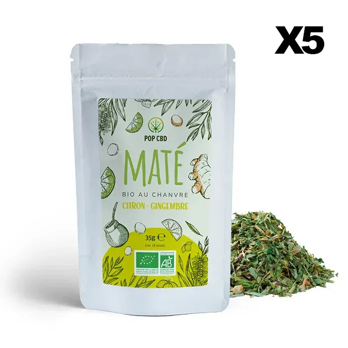 POP CBD Infusions CBD 5 sachets Maté Vert Bio Citron Gingembre, au Chanvre CBD