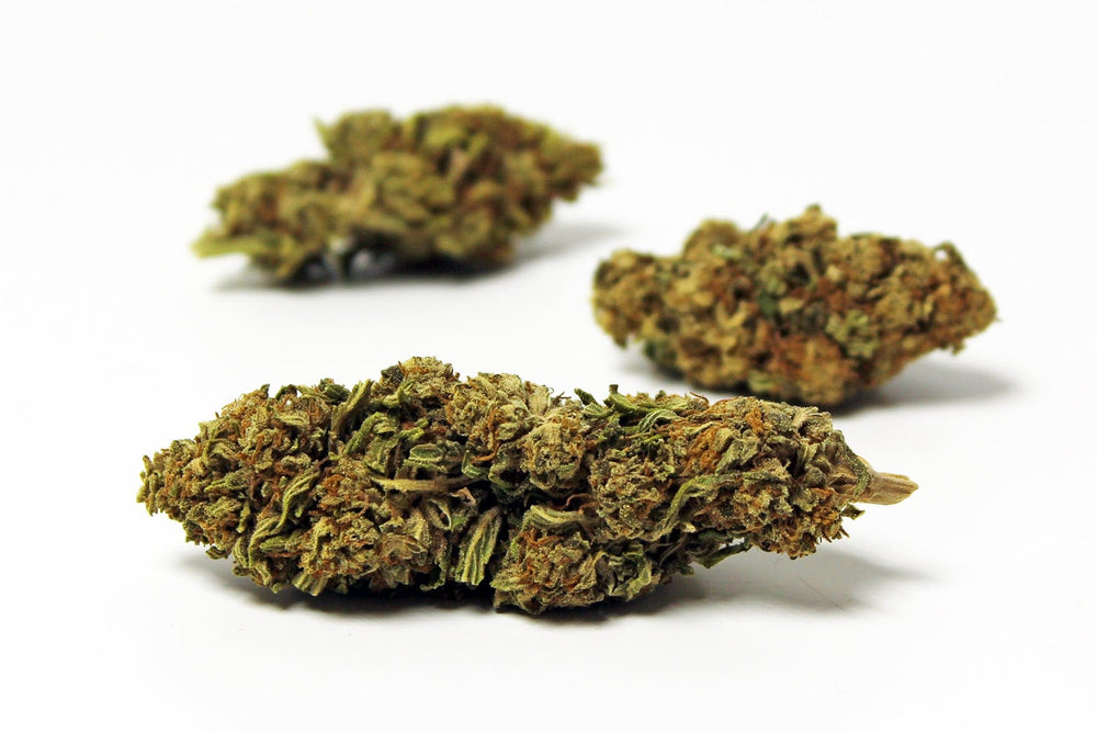 Mind CBD Fleurs CBD Orange Bud (Indoor) - CBD 15,5%