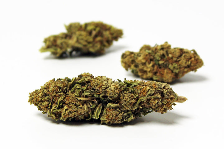 Bekijk 3 koppen Oranje Knop