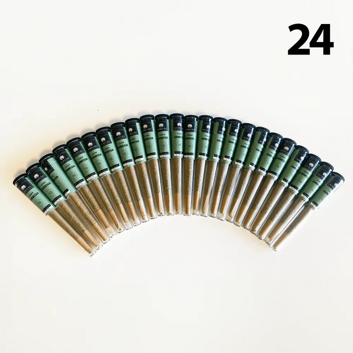 Mind CBD Fleurs CBD 24 Pré-rolls Pré-rolls CBD Amnesia Haze