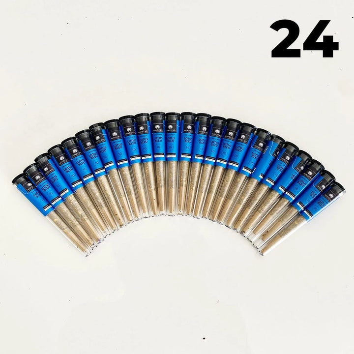 Mind CBD Fleurs CBD 24 Pré-rolls Pré-rolls CBD Lotus Bleu