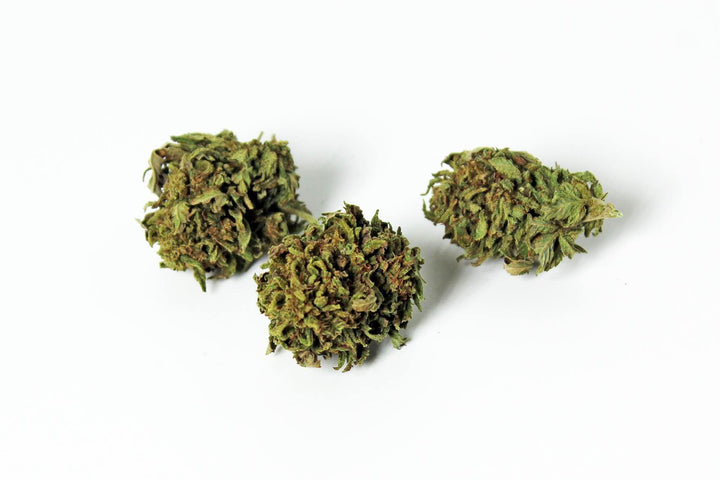 3 buds of CBD Flower Gelato lemon and vanilla flavor