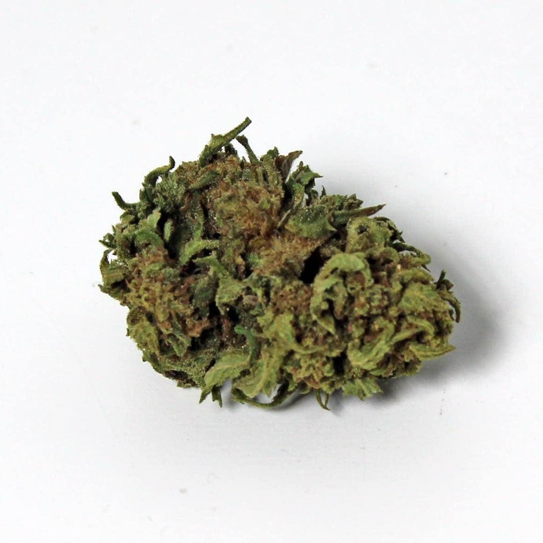 CBD Flowers Outdoor Frankrijk Harlekijn