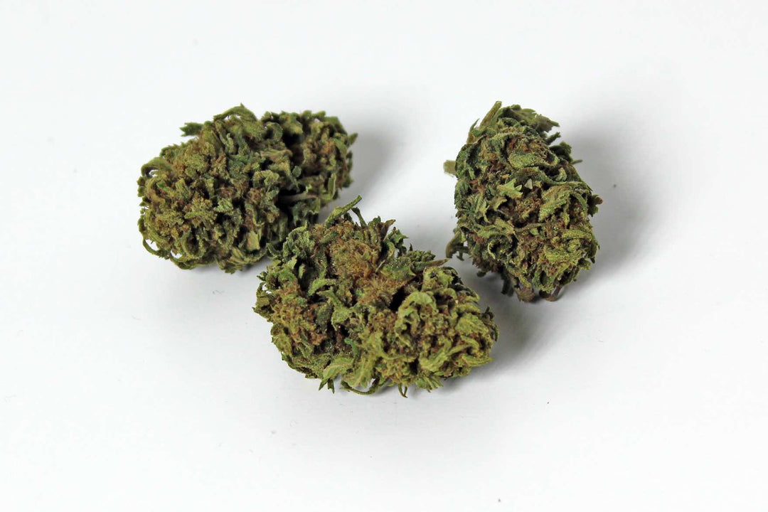 Flores CBD Outdoor France Arlequín x3