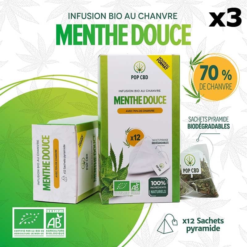 Krachtige CBD-infusie in theezakjes (pak van 3)
