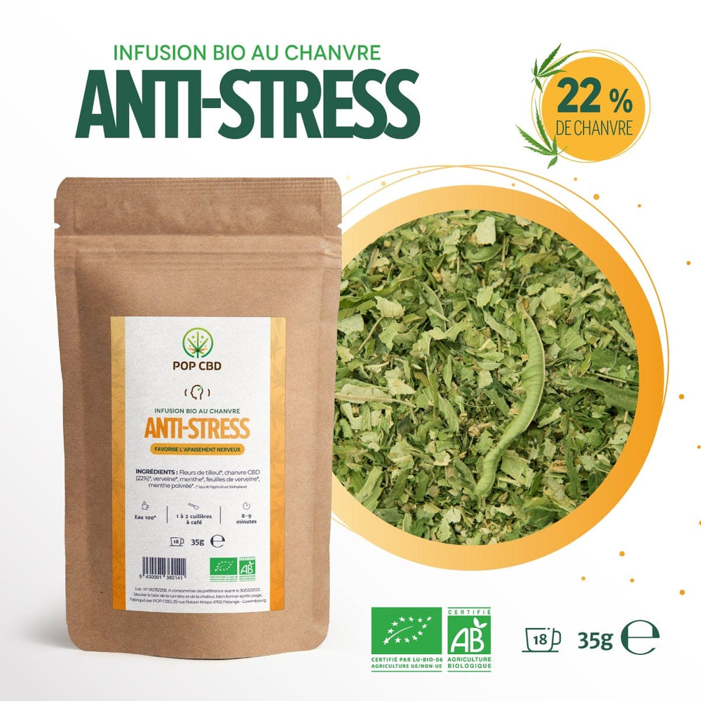 POP CBD Infusions CBD Pack 3 Infusions Bio Anti-Stress, Mangue, Thé Vert Détox, au Chanvre CBD