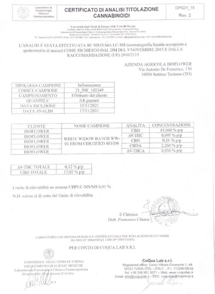 White Widow-analysecertificaat