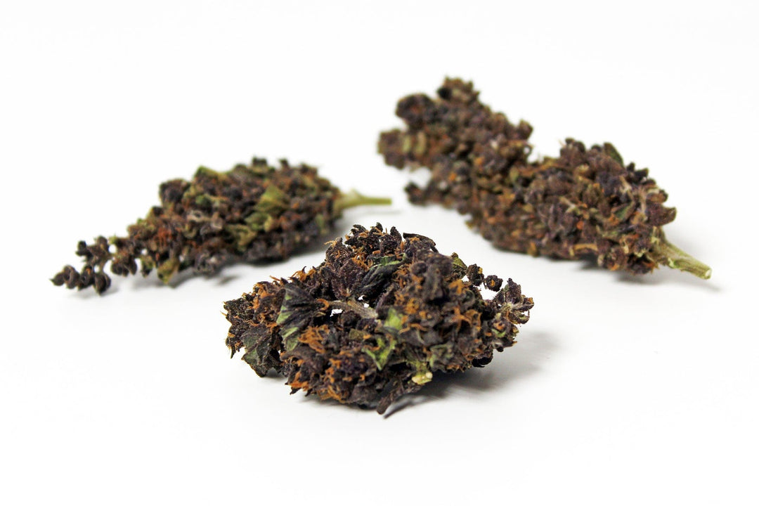 Mind CBD Fleurs CBD Purple Haze (Greenhouse) - CBD 10,6%