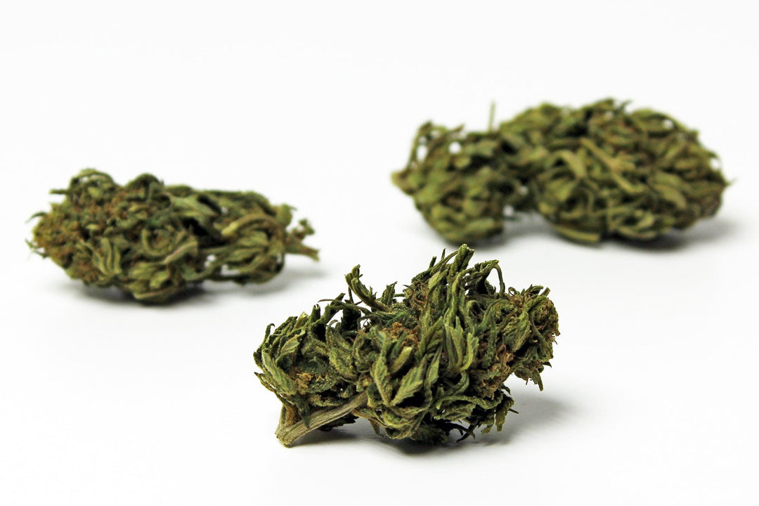 Mind CBD Fleurs CBD Strawberry (Outdoor) - CBD 9,3%