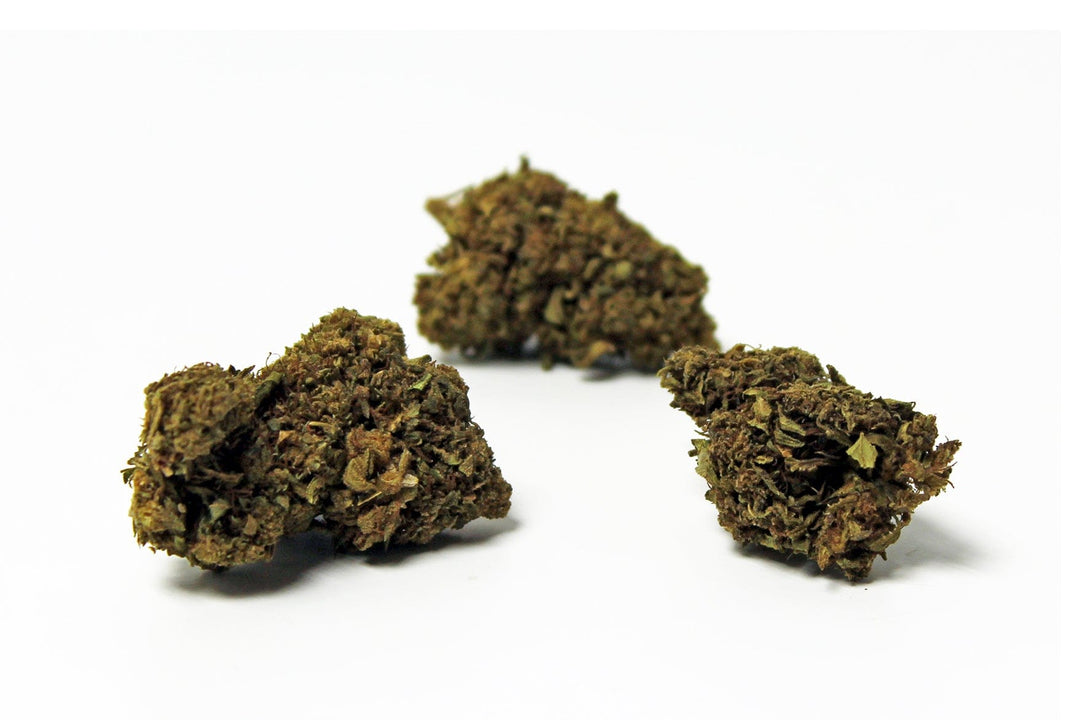 3 buds White Widow Flower